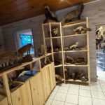 JSZ-Pfalz-Renovierung-Bild21